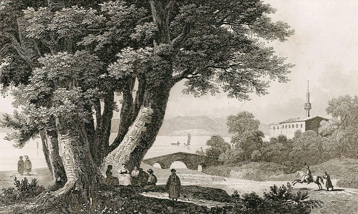 Büyükdere çınarı, Victor Felix Danvin, 1840