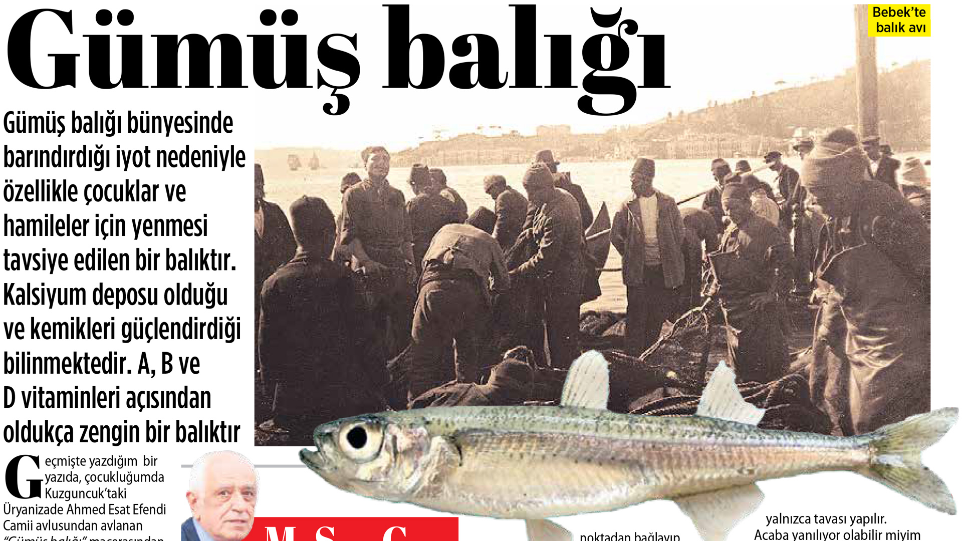 Gümüş Balığı...